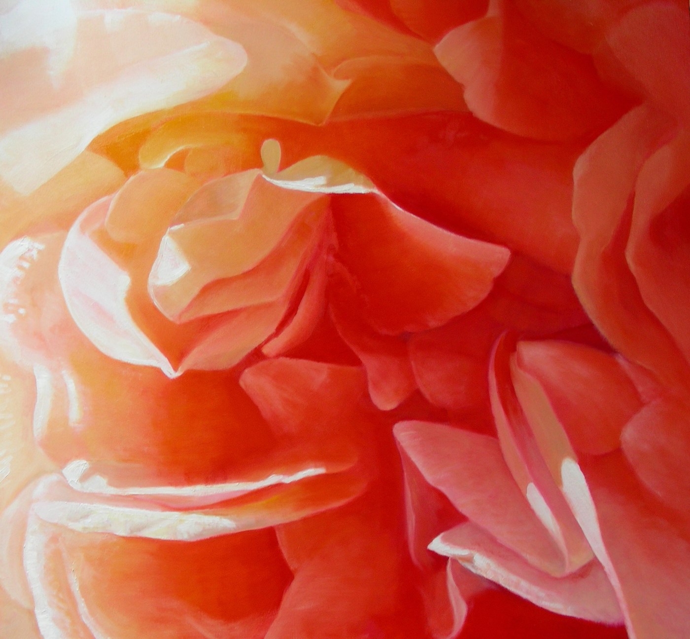 Queen Adelaide Rose 2 ART LOGIC