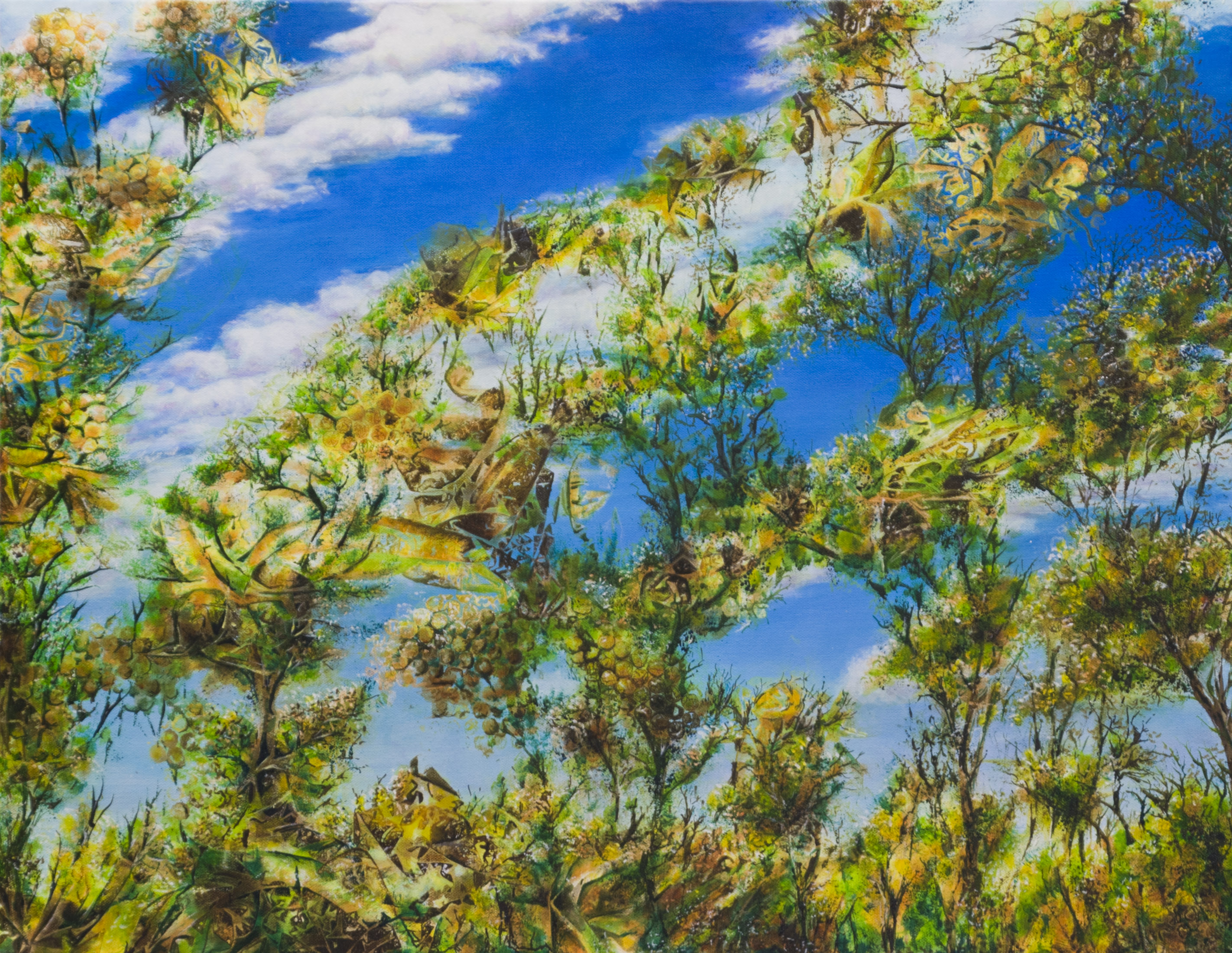 Treetop Sky ART LOGIC