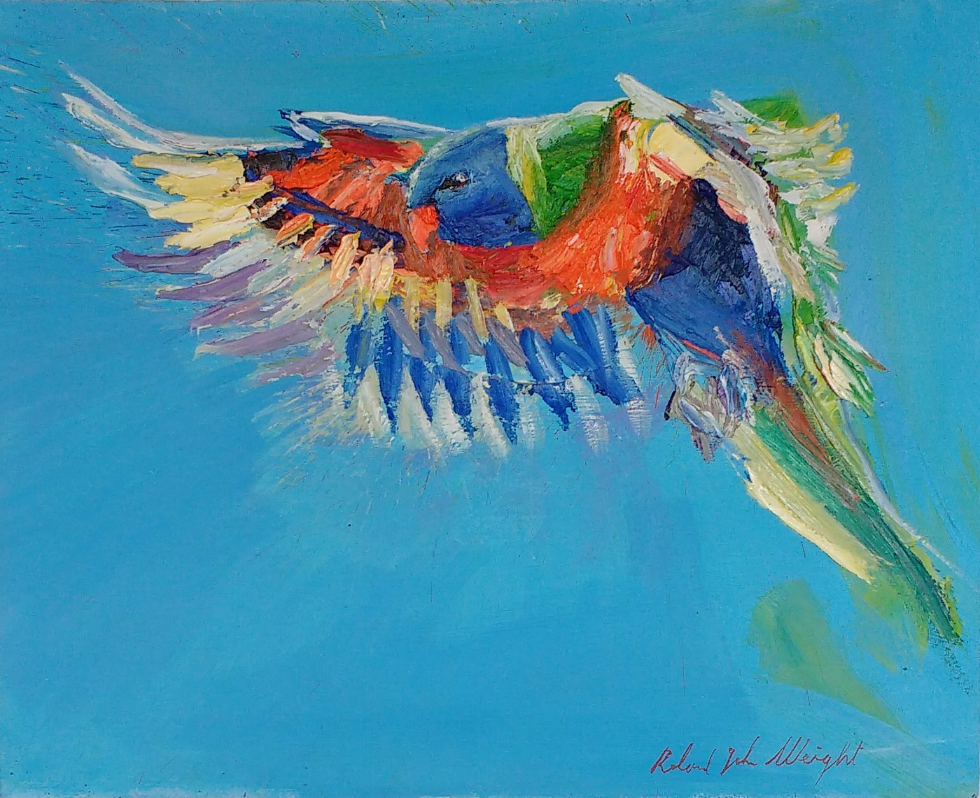 Rainbow Lorikeet ART LOGIC